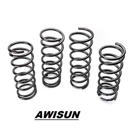 How many car coil spring types are there on the market?